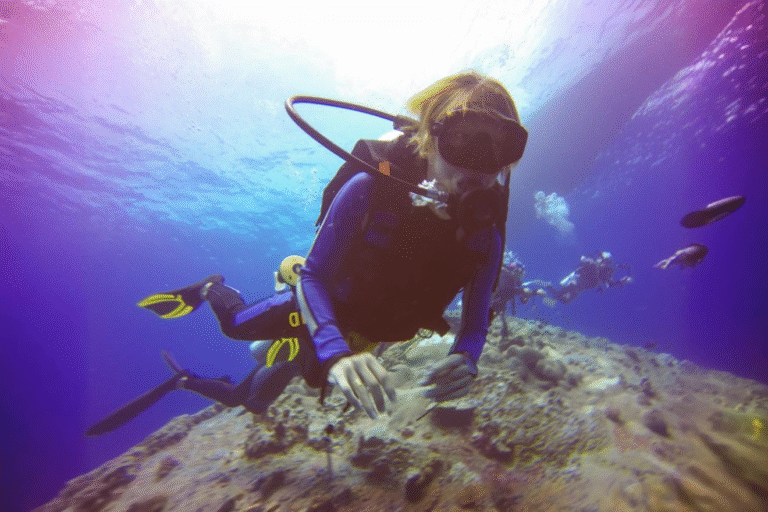 Projects freepik expand 34314