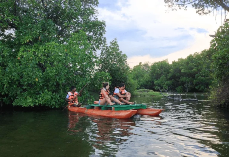 Projects pottuvil lagoon safari in sri lanka