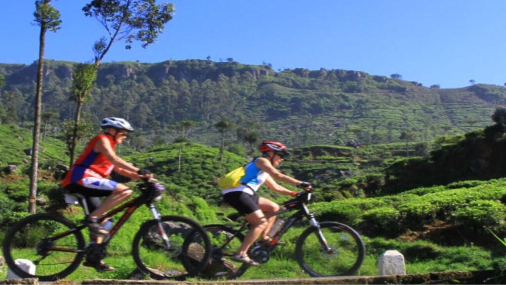 xr:d:daf0ywnzg0y:130,j:1202879212128073675,t:24020905