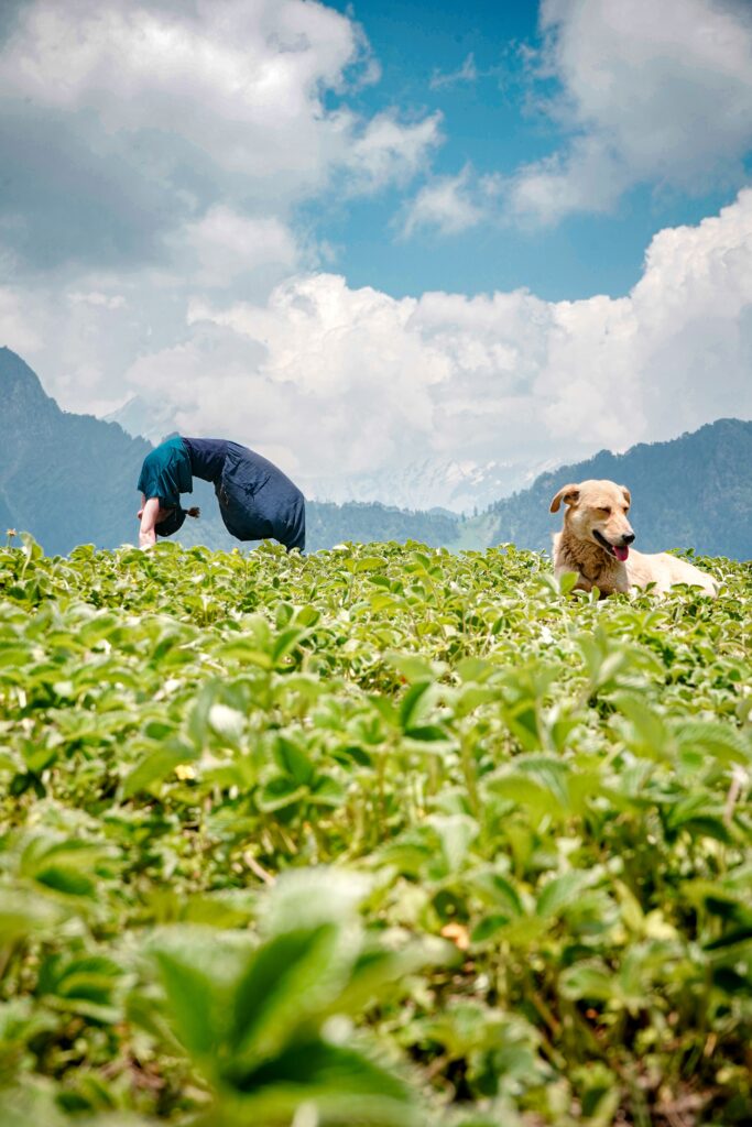 young woman doing yoga exercises in a natural environment with a dog sitting on a grass