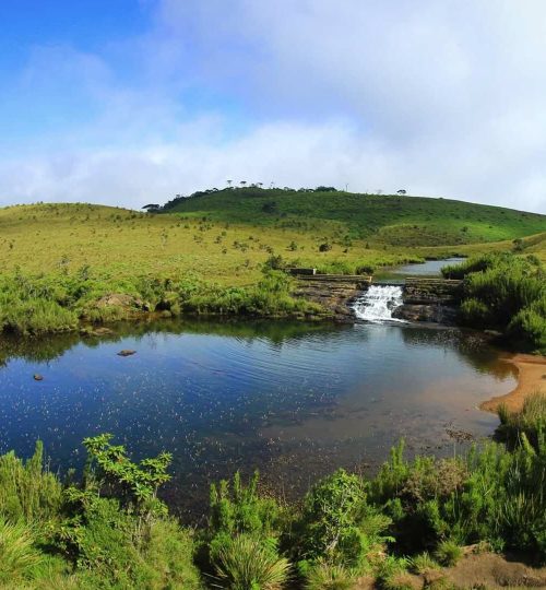 Projects horton plains min