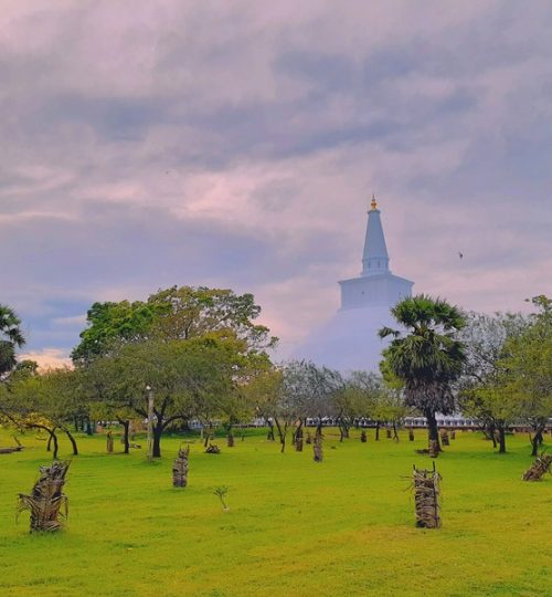 Projects izuru kannagara uesfcl4xree unsplash (1)