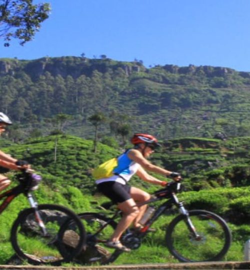 Projects xr:d:daf0ywnzg0y:130,j:1202879212128073675,t:24020905